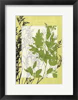Sm Translucent Wildflowers IV Fine Art Print