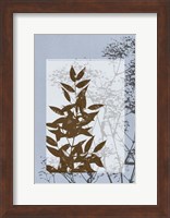 Sm Translucent Wildflowers V Fine Art Print