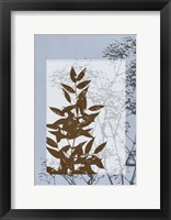 Sm Translucent Wildflowers V Fine Art Print