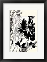 Sm Translucent Wildflowers X Fine Art Print