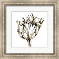 Small Tulip Sketch I Fine Art Print