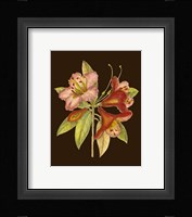 Crimson Blooms I Fine Art Print