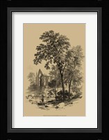 The Ash Tree Fine Art Print