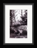 Garden Grace III Fine Art Print