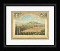 Vineyard Window III Framed Print