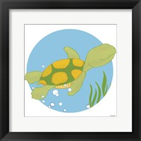 Timothy the Turtle Framed Print