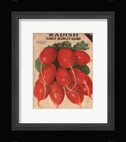 Heirloom Variety I Framed Print
