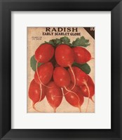 Heirloom Variety I Fine Art Print