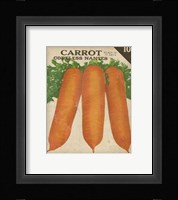 Heirloom Variety II Framed Print