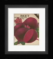 Heirloom Variety III Framed Print