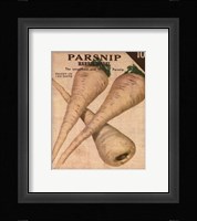 Heirloom Variety IV Framed Print