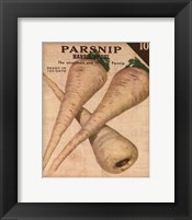 Heirloom Variety IV Fine Art Print
