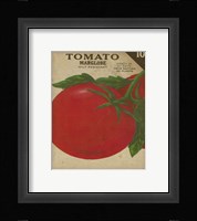 Heirloom Variety V Framed Print