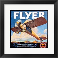 Flyer Fine Art Print
