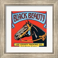 Black Beauty Fine Art Print