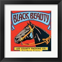 Black Beauty Fine Art Print