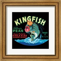 Kingfish Fine Art Print
