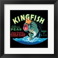 Kingfish Fine Art Print