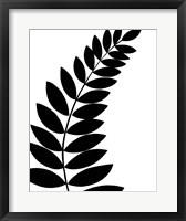 Leaf Silhouette I Fine Art Print