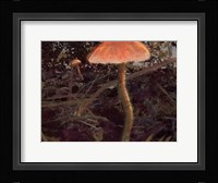 Forest Floor I Fine Art Print