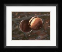 Quercus Palustris I Framed Print