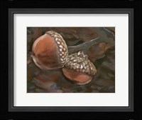 Quercus Palustris II Framed Print