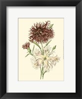 Blushing Blossoms IV Fine Art Print