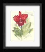 Elissa's Garden I Framed Print