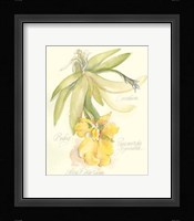 Elissa's Garden III Fine Art Print