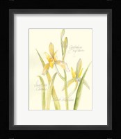 Elissa's Garden IV Fine Art Print