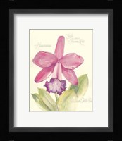 Elissa's Garden V Fine Art Print