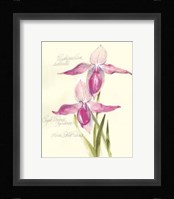 Elissa's Garden VI Fine Art Print