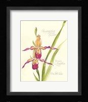 Elissa's Garden VII Fine Art Print