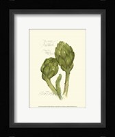 Tuscany Artichoke Framed Print