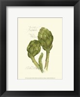 Tuscany Artichoke Framed Print