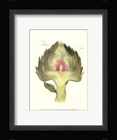 Globe Artichoke Fine Art Print