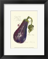 Eggplant Solanum Melongena Framed Print