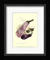 Aubergine Eggplant Fine Art Print