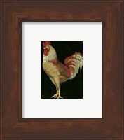 Single Rooster (IP) II Fine Art Print