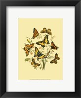 Small Butterfly Gathering I Fine Art Print