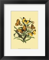 Small Butterfly Gathering IV Fine Art Print