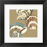 Small Shell Trio on Khaki II (P) Fine Art Print