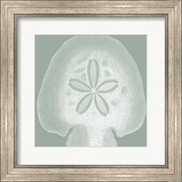 Seabreeze Shells I (P) Fine Art Print