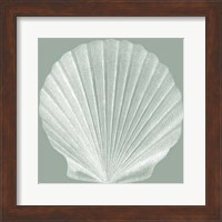 Seabreeze Shells II (P) Fine Art Print