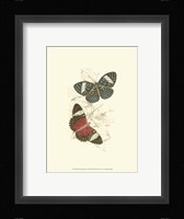 Butterflies I Fine Art Print