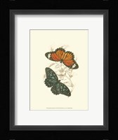 Butterflies II Fine Art Print