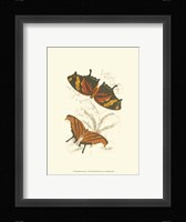 Butterflies V Fine Art Print