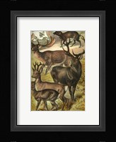 Johnson's Deer Fine Art Print