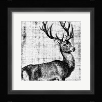 Northwest Territory I Fine Art Print