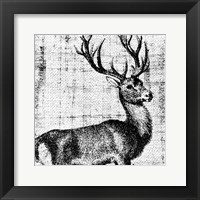 Northwest Territory I Fine Art Print